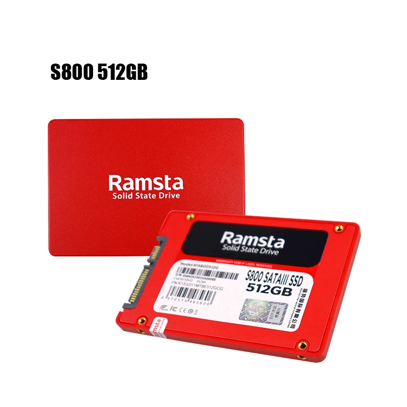 Ramsta 256GB SATA SSD
