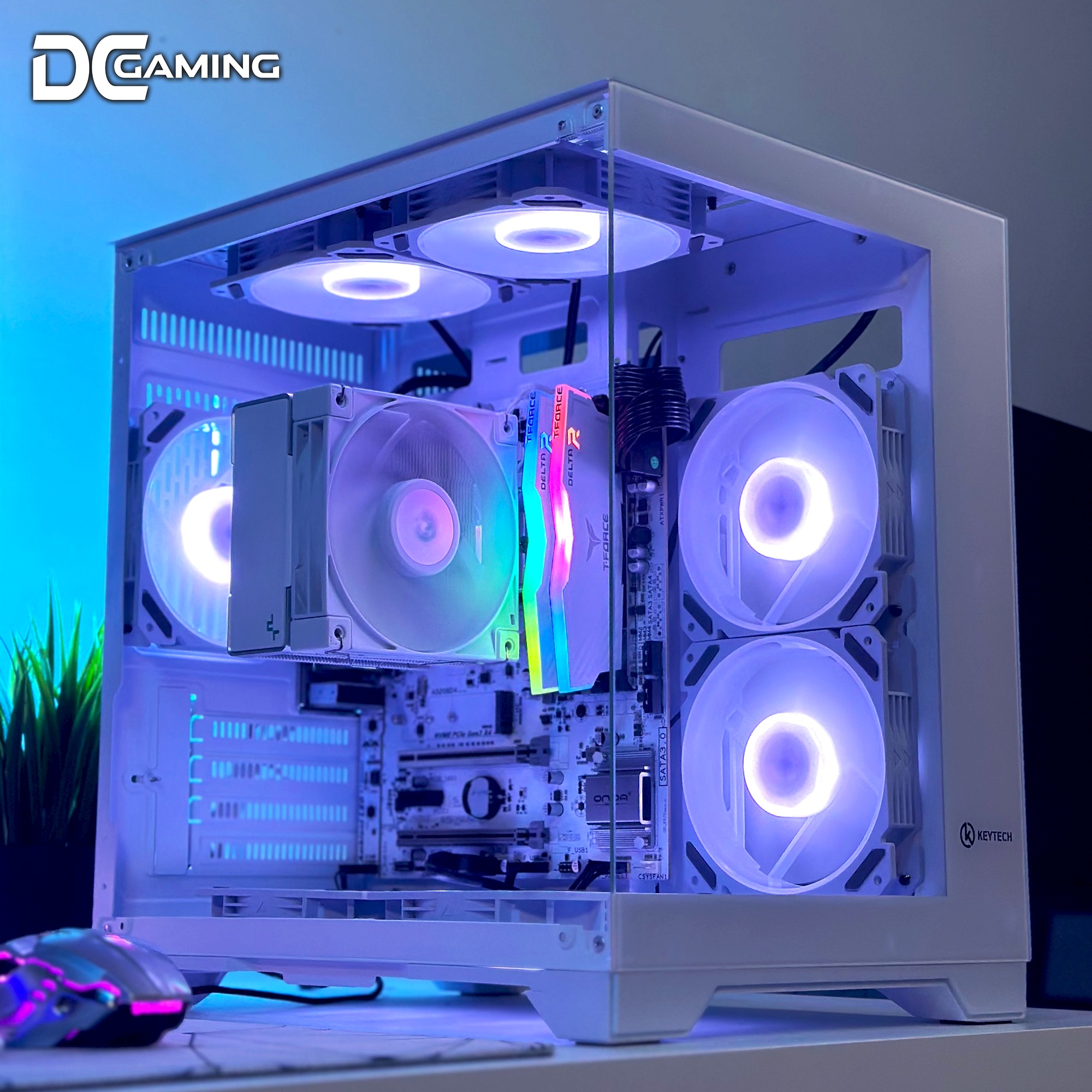 YGT N275 / Robin Cube Chasis | WHITE